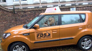 Fake Driving School túlsúlyos gádzsi is lovagolni akar