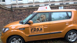 Fake Driving School cuki japán maca kúrni akar