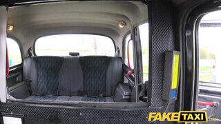 Fake Taxi - Tera Joy a roma cseh milf